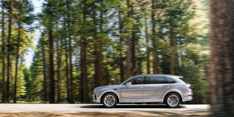 Bentley Valencia Bentley Bentayga Extended Wheelbase SUV in Moonbeam paint driving dynamically on a forest road